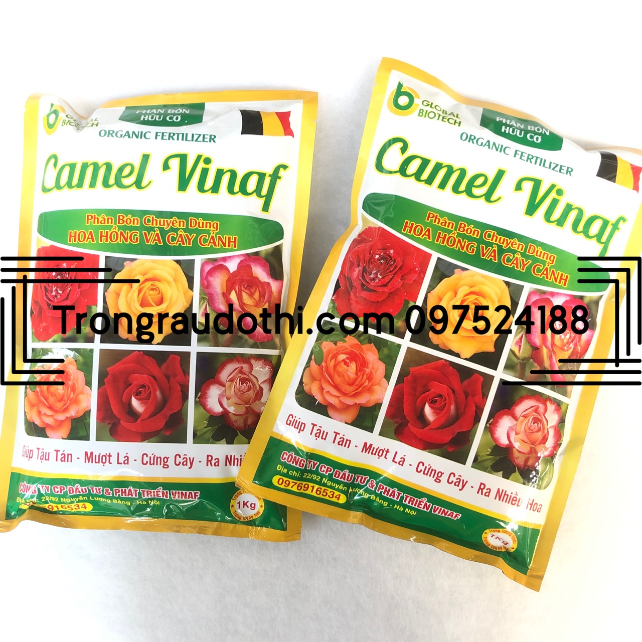 Phân bón cho hoa hồng Camel Vinaf giúp cây đâm chồi nở hoa to